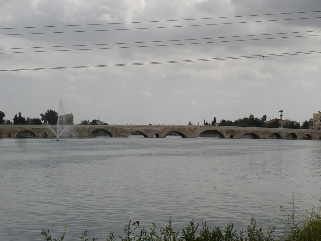 DSC08486.JPG