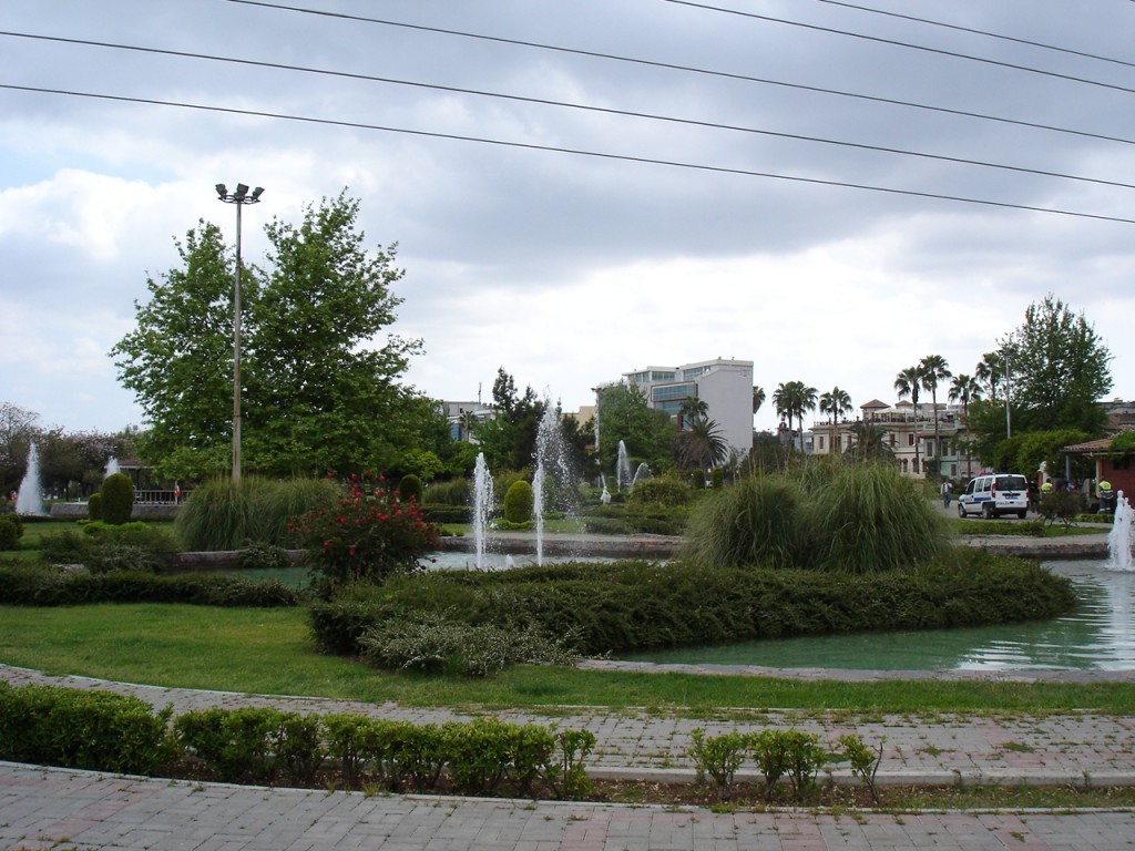 DSC08488.JPG