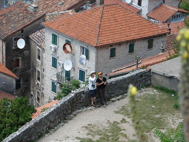 DSC08500.jpg