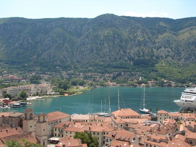 DSC08502.jpg