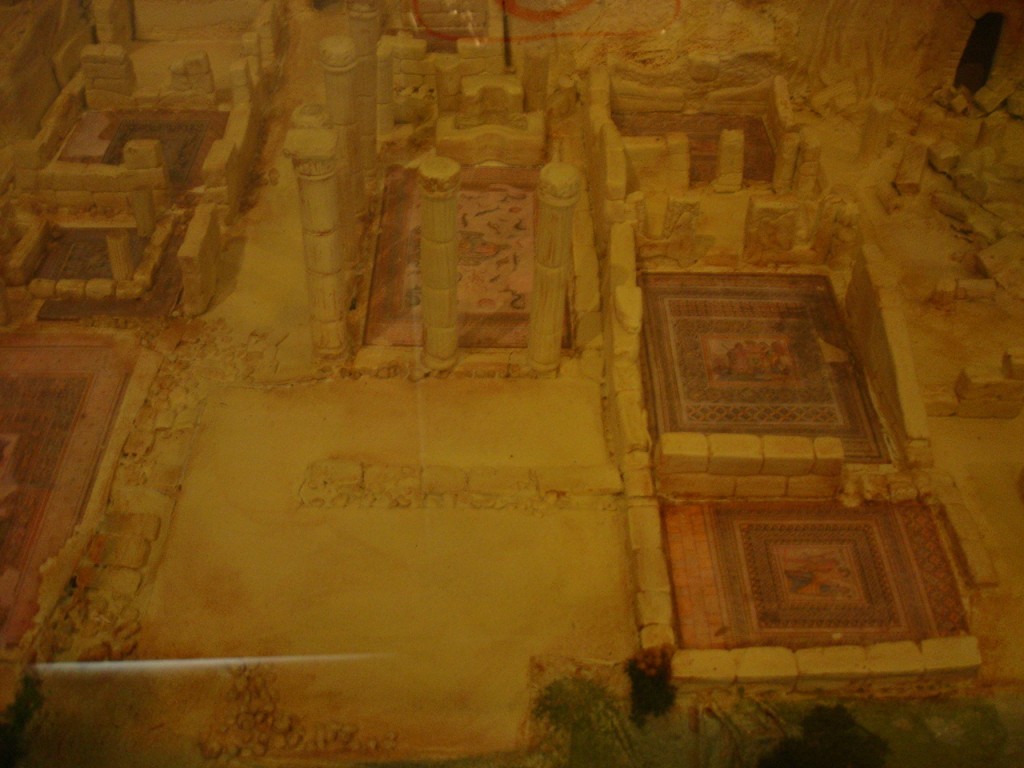 DSC08504.JPG