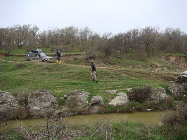 DSC08506.jpg