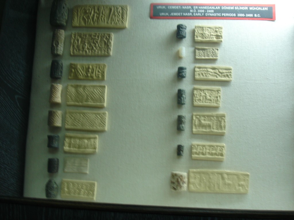 DSC08508.JPG
