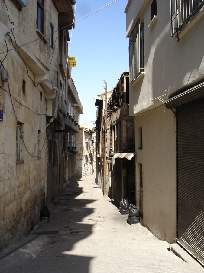 DSC08513.JPG