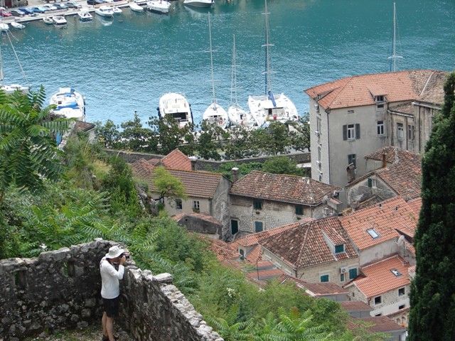 DSC08514.jpg