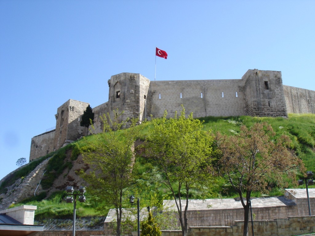 DSC08514.JPG