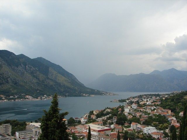 DSC08517.jpg