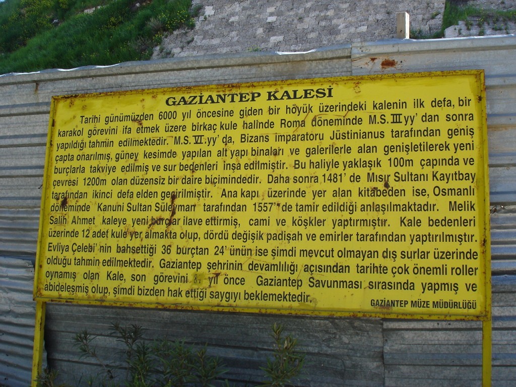 DSC08517.JPG