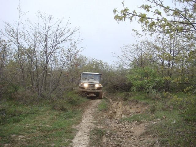 DSC08529.jpg