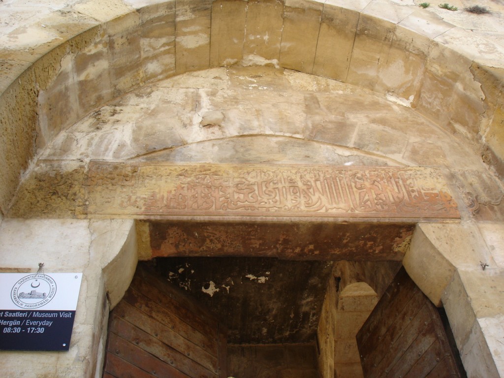 DSC08529.JPG