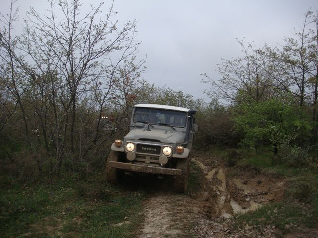DSC08530.jpg