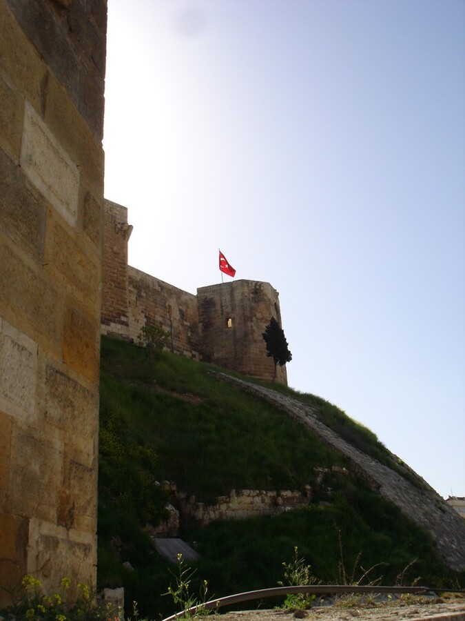 DSC08530.JPG
