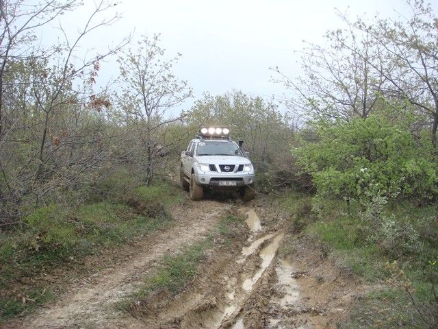 DSC08531.jpg