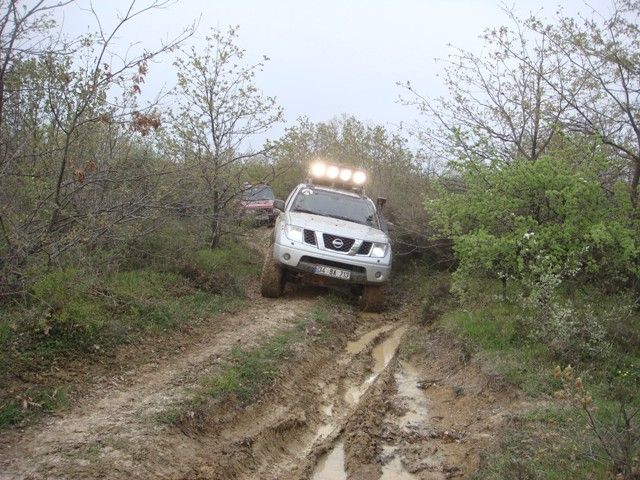 DSC08533.jpg