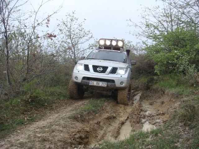 DSC08534.jpg