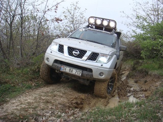DSC08535.jpg