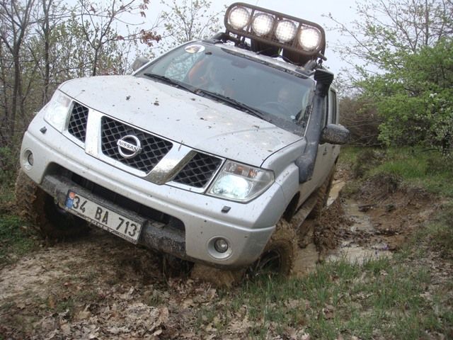 DSC08536.jpg