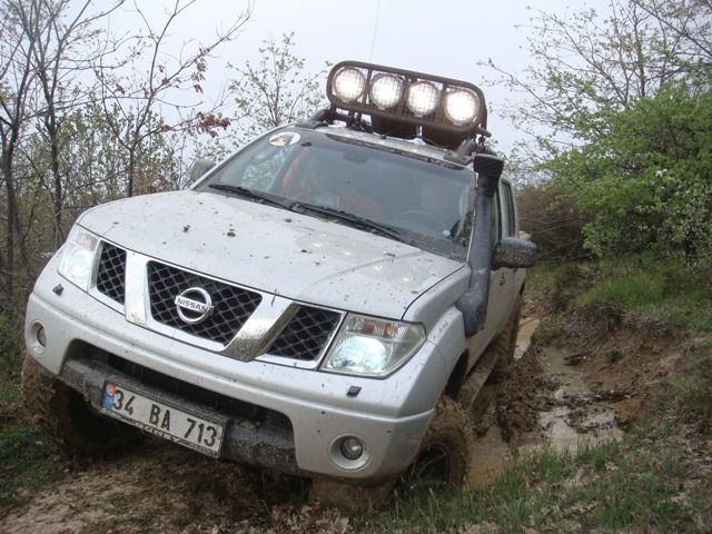 DSC08537.jpg