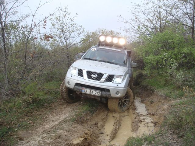 DSC08538.jpg