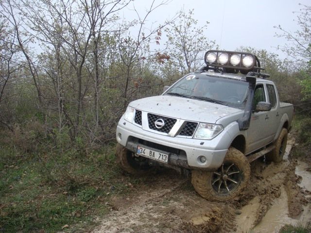 DSC08541.jpg