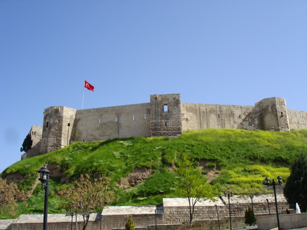 DSC08541.JPG