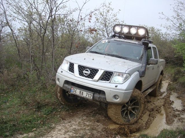 DSC08542.jpg
