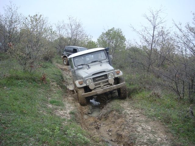 DSC08545.jpg