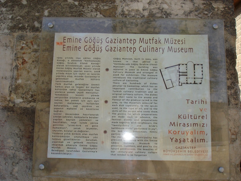 DSC08546.JPG