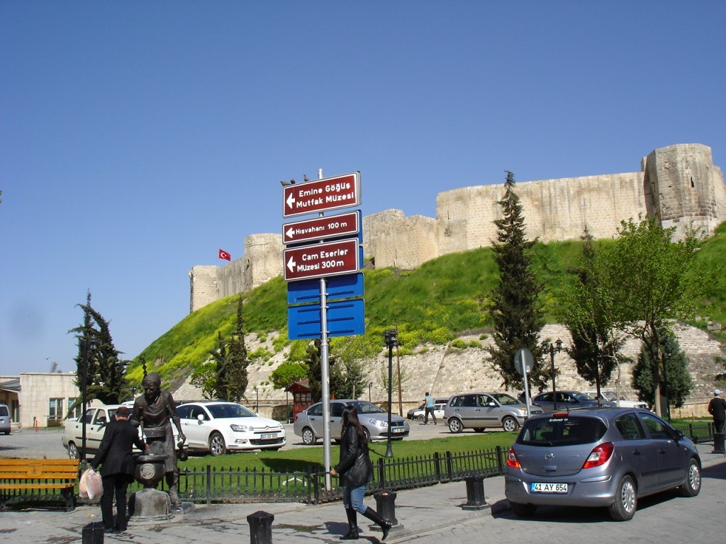 DSC08562.JPG