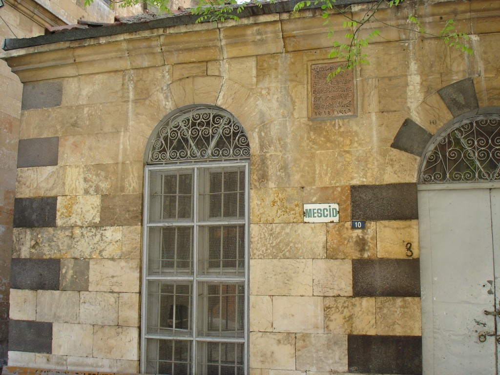 DSC08575.JPG