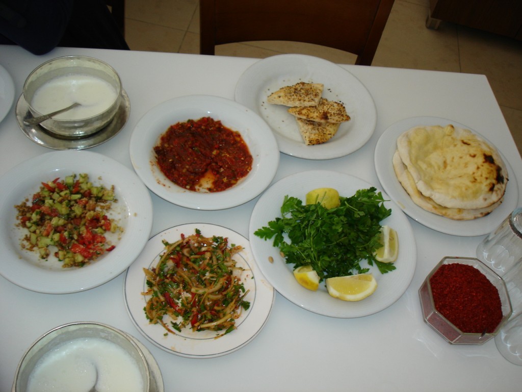 DSC08590.JPG