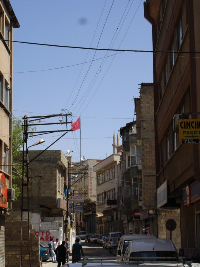 DSC08603.JPG