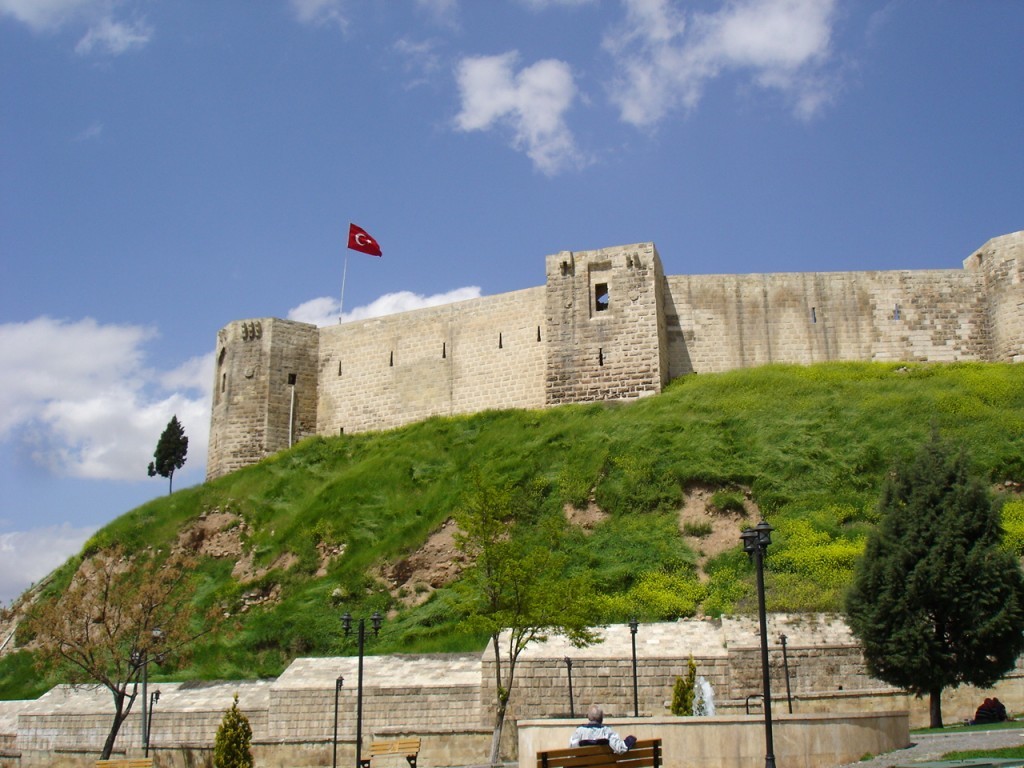 DSC08613.JPG