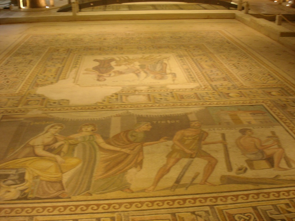 DSC08649.JPG