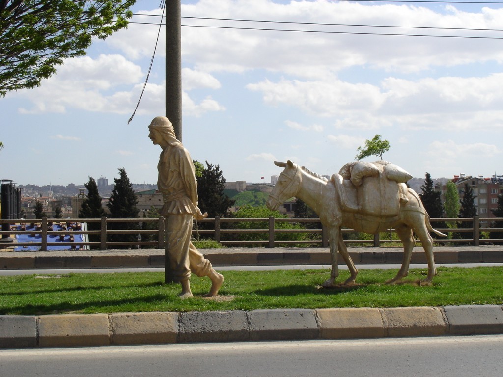 DSC08688.JPG