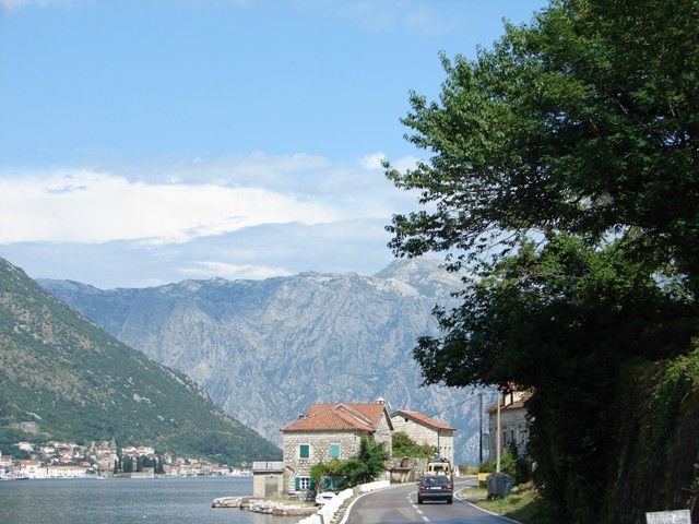 DSC08715.jpg