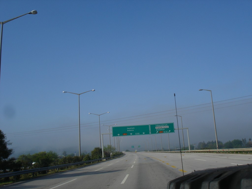 DSC08729.JPG