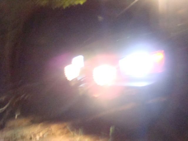 DSC08752.jpg