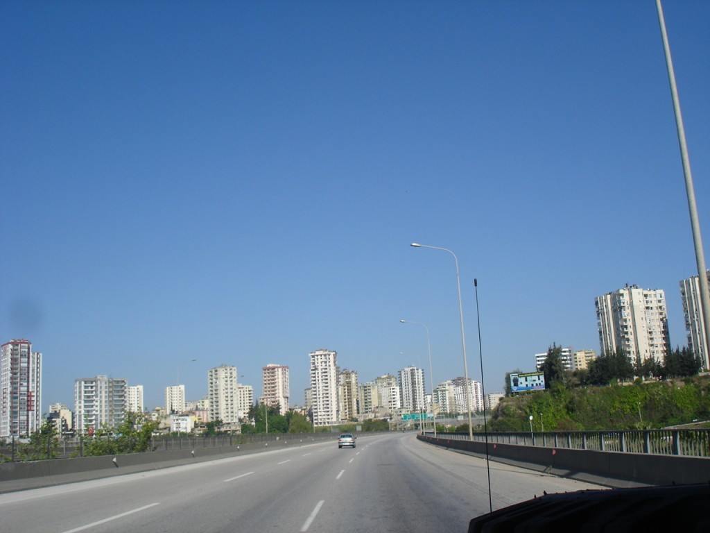 DSC08771.JPG