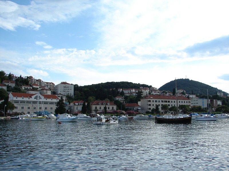 DSC08795.jpg