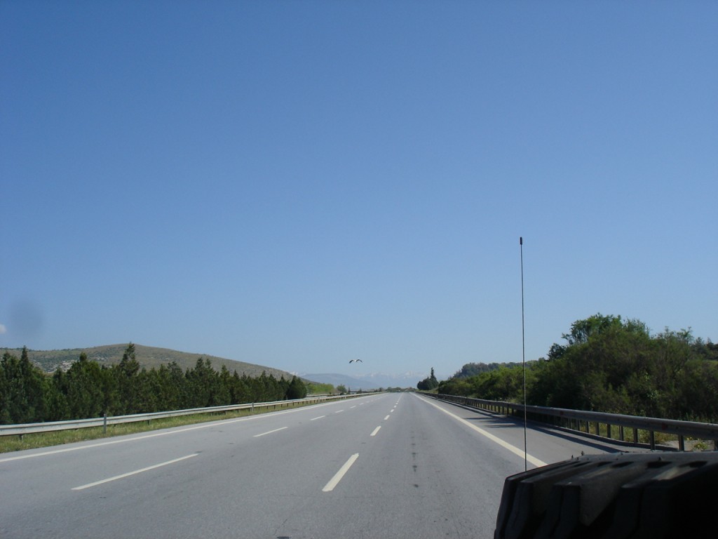 DSC08800.JPG