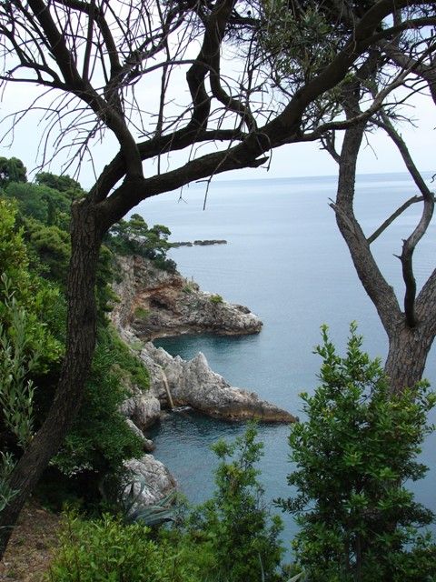 DSC08825.jpg
