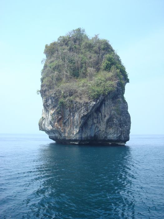 DSC08825.jpg
