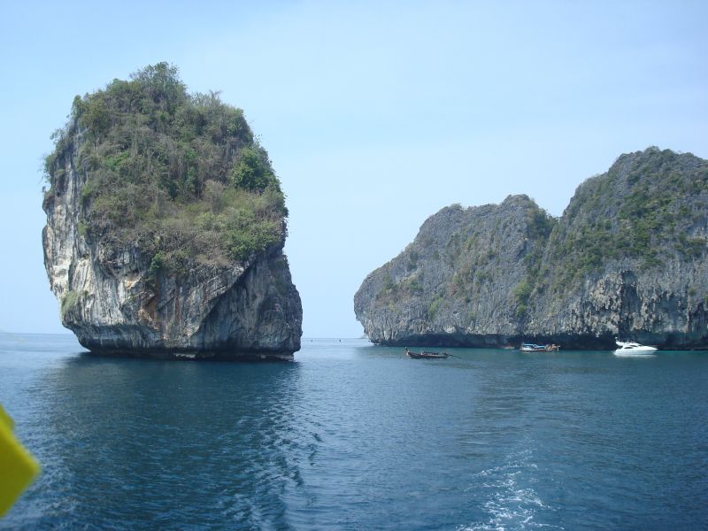 DSC08826.jpg
