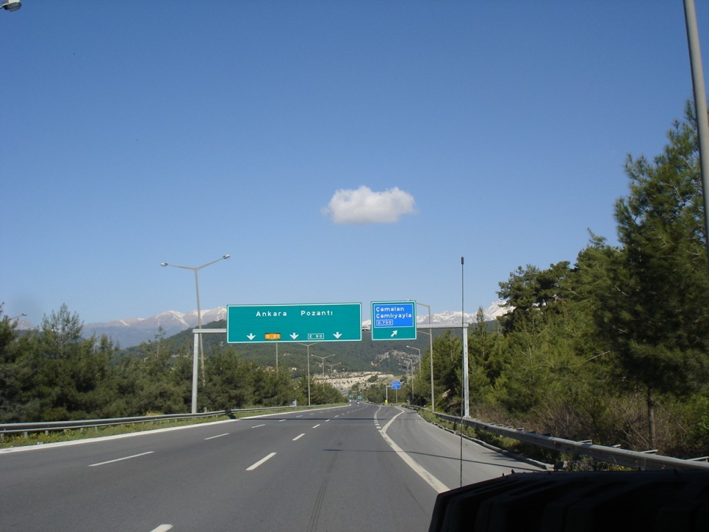 DSC08826.JPG