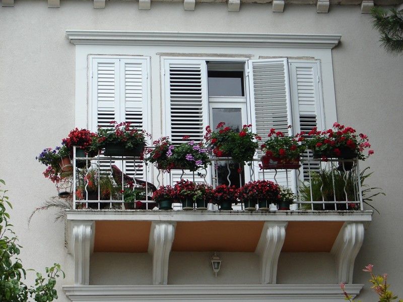 DSC08834.jpg