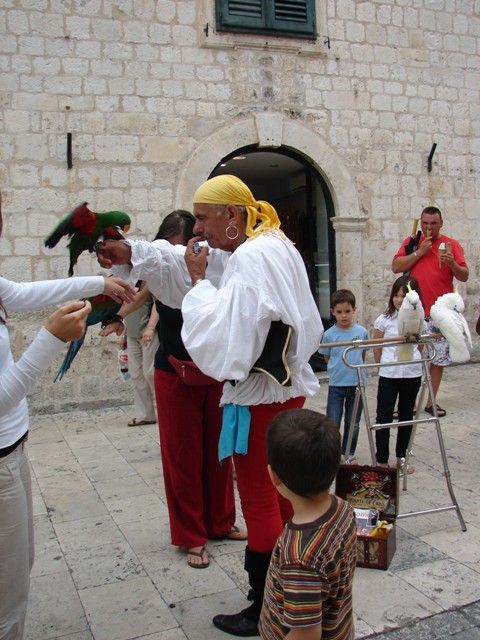 DSC08901.jpg