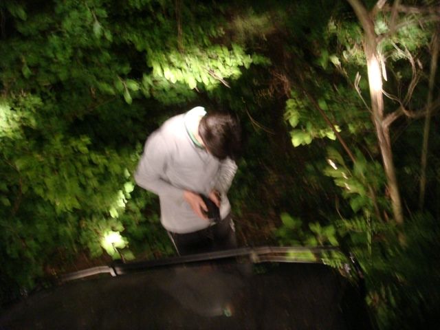 DSC08907.jpg