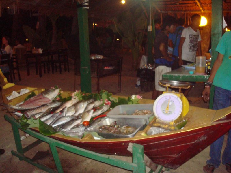 DSC08908.jpg