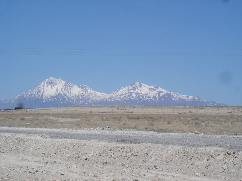 DSC08957.JPG